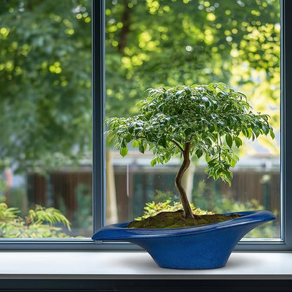 Bonsai Tree Pot 18 Inch - Ceramic Succulent Pots Large Bonsai Planter for Indoor Outdoor Plants Decorative Plant Pot with Drainage Hole Flower Pot for Home Garden Room Decor Blue