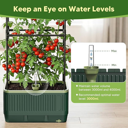 Raised Garden Bed with Tomato Cages，52"/4.3ft Tomato Planter with Trellis,Adjustable Height,Self Watering Planter Box for Vegetables & Climbing Plant Indoor Outdoor Balcony Patio (2)