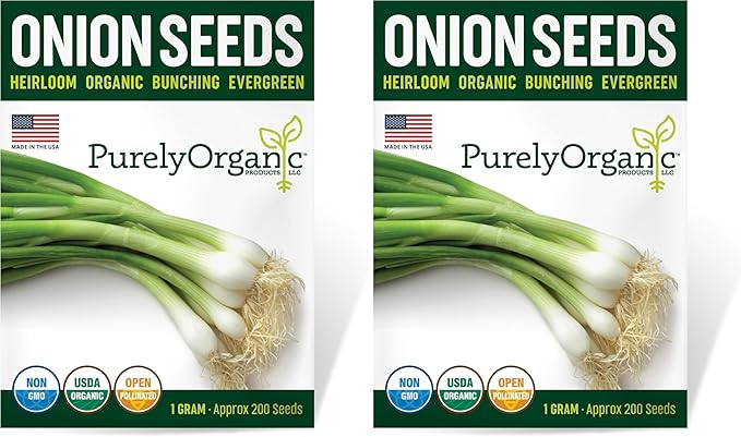 Organic Onion Seeds (Bunching Evergreen) - Approx 200 Seeds - USDA Organic, Non-GMO, Open Pollinated, Heirloom, USA Origin (Pack of 2)