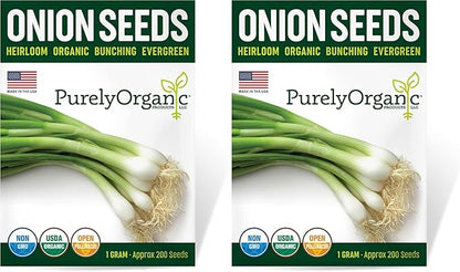 Organic Onion Seeds (Bunching Evergreen) - Approx 200 Seeds - USDA Organic, Non-GMO, Open Pollinated, Heirloom, USA Origin (Pack of 2)