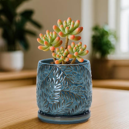 D'vine Dev 4 Inch Embossed Leaves Stoneware Planter Pot with Drainage Hole and Saucer, Ocean Teal, 27-A-Z-8