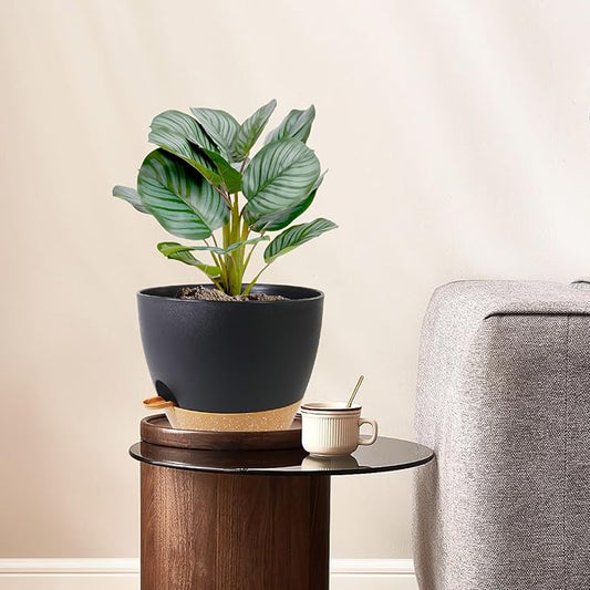 10 inch Self Watering Pots, 2 Pack Plastic Planters with Mesh Drainage Holes for Garden Plants and Flower, Plants Pots with Deep Reservoir for Indoor Outdoor Plants, Black with Brown