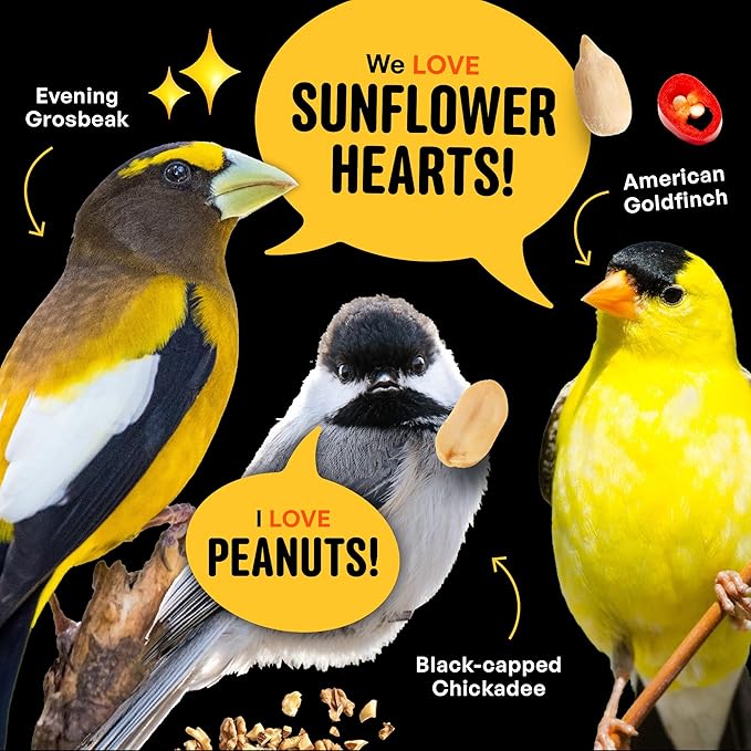 Cool Birds No Mess Sad Squirrels Hot Bird Seed – 10 lb. Spicy Shell-Free Blend with Peanuts, Sunflower Hearts & Chili Pepper Oil – No Waste, Squirrel-Resistant Bird Food for Outside Feeders