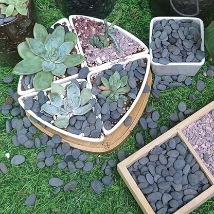 2.4lb River Rocks Pebbles for Plants & Succulents, Decorative Outdoor Landscaping & Aquarium Garden Rocks