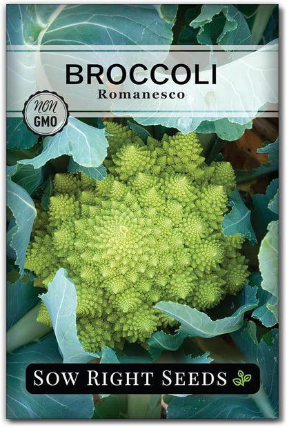 Sow Right Seeds - Romanesco Broccoli Seeds for Planting - Non-GMO Heirloom Packet with Instructions to Plant an Outdoor Home Vegetable Garden - Great for Salads - Abundant Harvest - Cold Hardy (1)