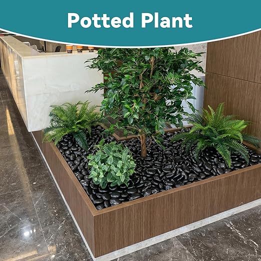 20lbs Black Rocks for Planters, 2-3 Inch Decorative Rocks for Potted Plants, Polished Garden Stones for Outdoor Landscaping, Walkways, Yard, River Rocks for Flower Pots, Vase