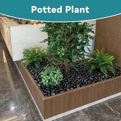 20lbs Black Rocks for Planters, 2-3 Inch Decorative Rocks for Potted Plants, Polished Garden Stones for Outdoor Landscaping, Walkways, Yard, River Rocks for Flower Pots, Vase