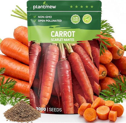 3000 Scarlet Nantes Carrot Seeds for Planting - Heirloom Variety, Fast Growing Vegetable Seeds for for Home Garden & Container Planting