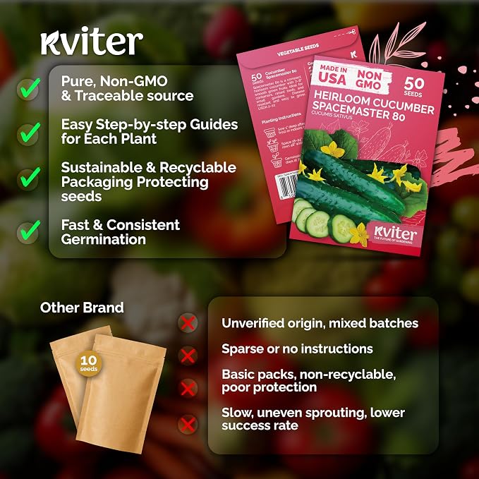 KVITER 50 Spacemaster 80 Cucumber Seeds (Cucumis sativus) - Compact Space Master Cucumber Seed Packets, Pickling & Slicing Cucumbers - Vegetable Seeds for Planting in Small Garden & Containers