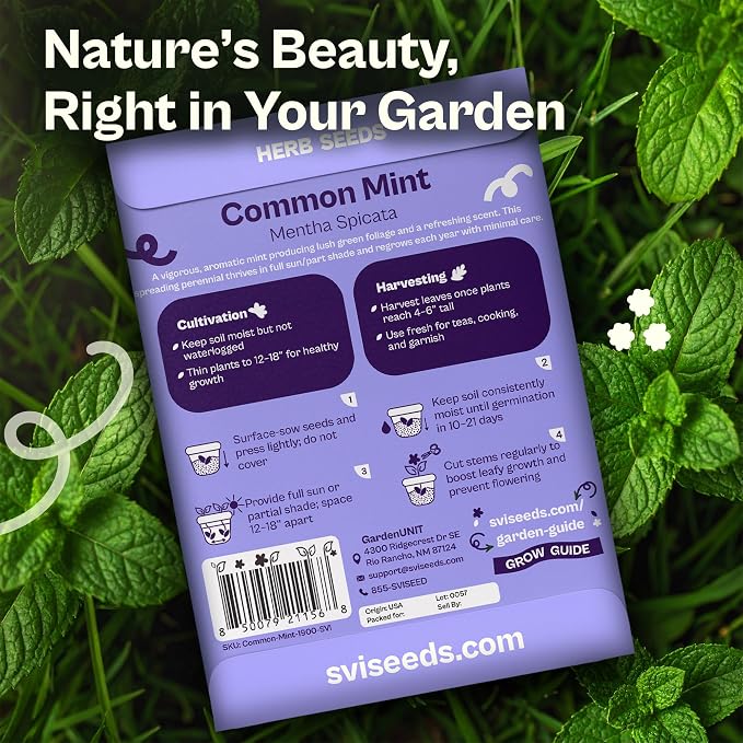 SVI 1900 Common Mint Seeds (Mentha spicata) – Aromatic Mint Seed Packets, Spearmint Leaves Seed Starting – Heirloom Herb Seeds for Outdoor Garden & Indoor Herb Garden Containers, Raised Beds