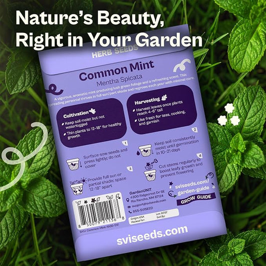 SVI 1900 Common Mint Seeds (Mentha spicata) – Aromatic Mint Seed Packets, Spearmint Leaves Seed Starting – Heirloom Herb Seeds for Outdoor Garden & Indoor Herb Garden Containers, Raised Beds
