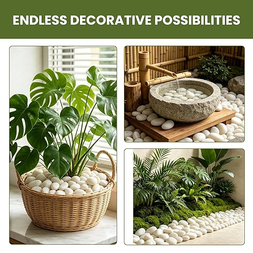 6 lbs Natural White River Rocks, 1-2 Inch Natural Polished Pebbles for Indoor Plants, Decorative Stones for Vase Filler, Aquarium, Succulent, and Outdoor Garden Landscaping