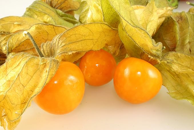 Seeds Strawberry Physalis Cape Gooseberry Goldenberry Ground Cherry Orange Non GMO Vegetable for Planting