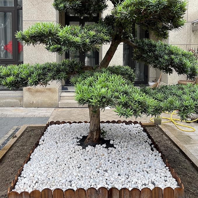 FANTIAN 5 lbs White Matte Rocks for Plants, 2-3 Inch Large Pebbles for Indoor Plants, Decorative River Stones for Succulent, Landscaping, Vases, Crafting and Garden