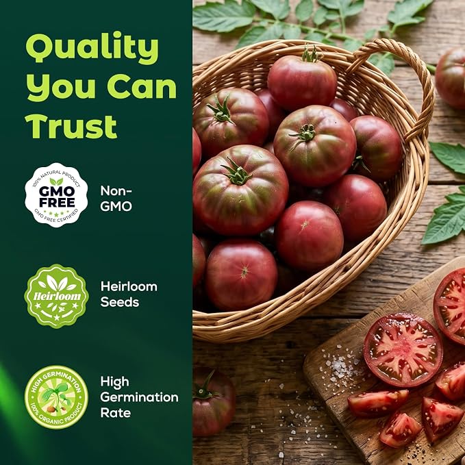 400 Heirloom Cherokee Purple Tomato Seeds for Planting – Unique Dark Purple Beefsteak, Rich Flavor, High Germination, Ideal for Home Garden & Container