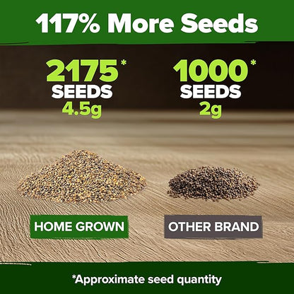 HOME GROWN Arugula Roquette Seeds 2,175+ Heirloom Non-GMO Seeds for Planting, High Germination, Fast Growing Peppery Salad Greens, Indoor Outdoor Hydroponic Garden, Microgreens (Eruca vesicaria)