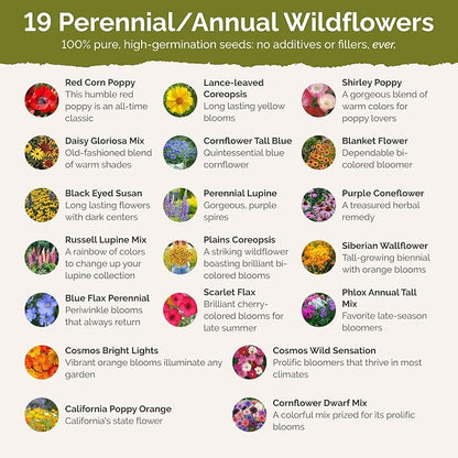 Eden Brothers Missouri Wildflower Mixed Seeds for Planting, 1 lb, 480,000+ Seeds with Lupine, Coreopsis | Attracts Pollinators, Plant in Spring or Fall, Zones