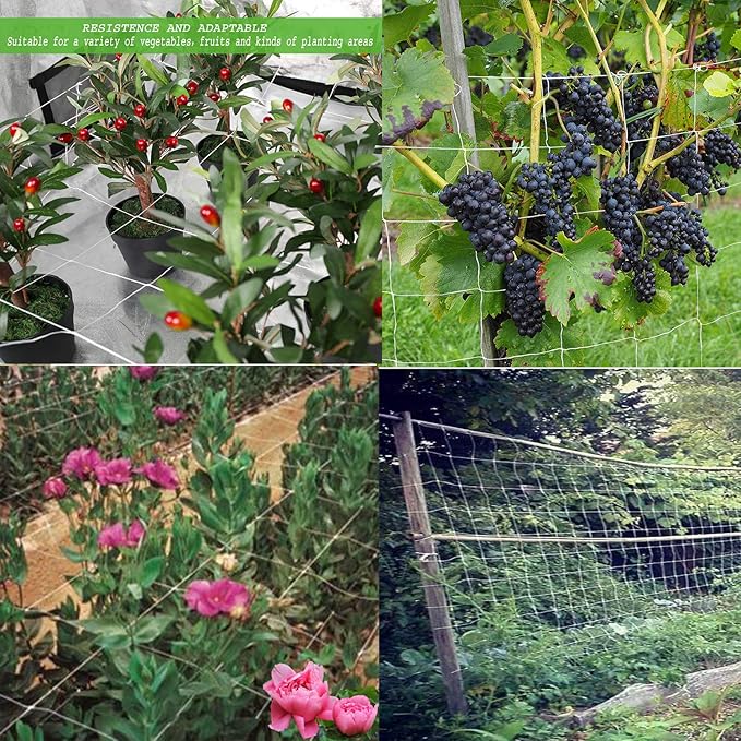 BaseGoal All-Weather Trellis Netting Mesh Plant Garden Vine Growing Flexible String Net (3.5" Mesh 5' x 15'-2Pack)