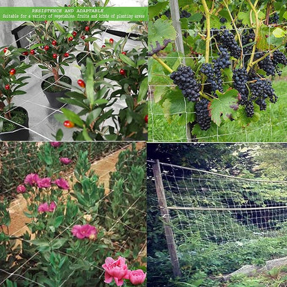 BaseGoal All-Weather Trellis Netting Mesh Plant Garden Vine Growing Flexible String Net (3.5" Mesh 5' x 15'-2Pack)