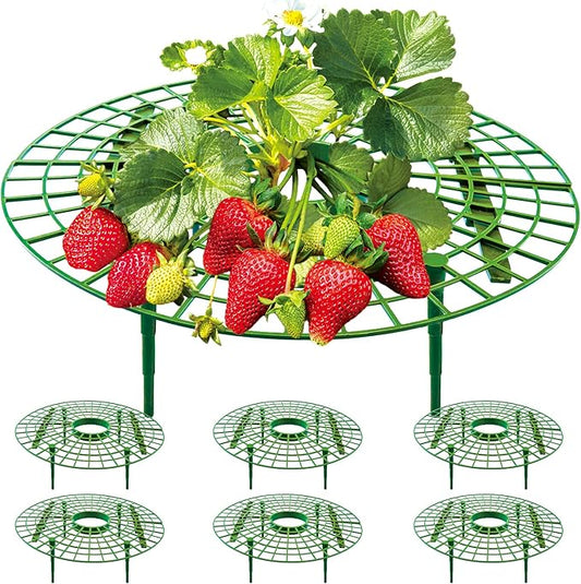 6 Pack Strawberry Supports,strawberry holder plants live for planting,Strawberry Growing Frame,Strawberry Trellis for Keeping Fruit Elevated to Avoid Ground Rot (green-6 pack)