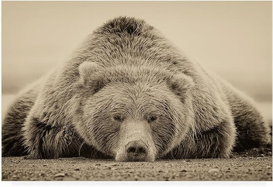 Trademark Fine Art Outdoor Canvas Art - Phburchett 'Deep Sleep' Wall Art for Outdoor Spaces, Patios, or Gardens