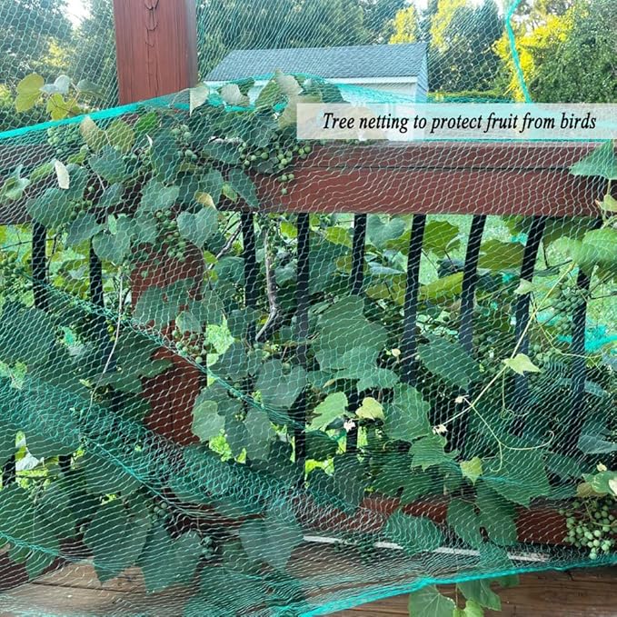 Bird Netting for Garden 6.5X100 FT, 1/4 Inch Mesh, Protect Blueberry, Strawberry, Tomatos, Vegetables. Fruit Tree Netting for Cicadas Against Deers, Squirrels, Bunnies, and Small Critters.