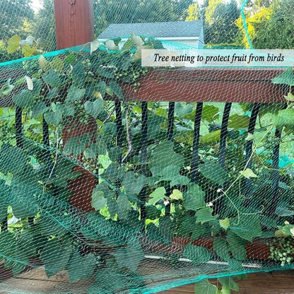 Bird Netting for Garden 6.5X100 FT, 1/4 Inch Mesh, Protect Blueberry, Strawberry, Tomatos, Vegetables. Fruit Tree Netting for Cicadas Against Deers, Squirrels, Bunnies, and Small Critters.