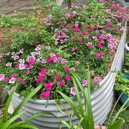 1 Pack 8x3x2FT Galvanized Raised Garden Bed Kit Oval Metal Ground Planter Box Outdoor Bottomless Planter Raised Beds for Vegetables Flowers Herbs Fruits, Gray