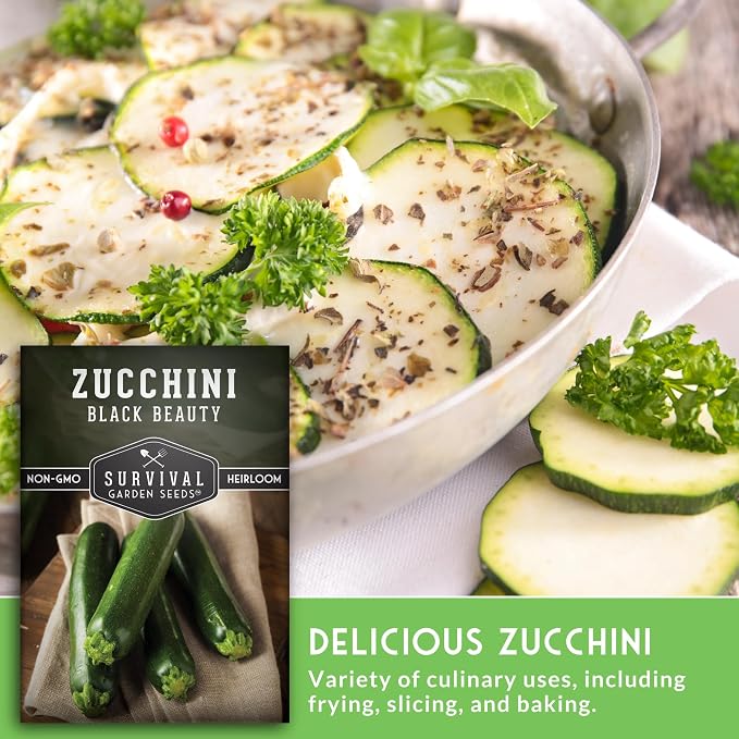 Black Beauty Zucchini Seeds for Planting - Heirloom Summer Squash Variety for Vegetable Garden Growing - High Yield Dark Green Zucchinis - Survival Garden Seeds (5 Packs)