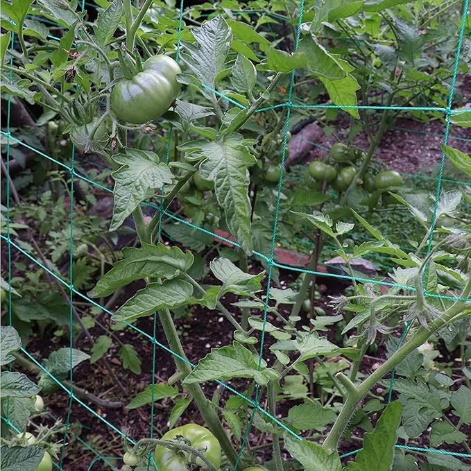 Trellis Netting for Climbing Plants - Heavy Duty Garden Trellis Netting for Cucumber, Vine, Fruits & Vegetables Tomato Plants Trellis Net, Climbing Vining Plants (1-Pack 24.6' x 6.6'Ft)