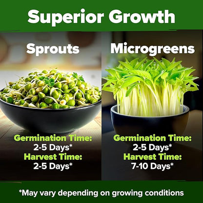 HOME GROWN Mung Beans Seeds Pack 1.5 lb Over 15,000 Sprouting Seeds Grow Fresh Mung Bean Sprouts or Microgreens for Quick, Easy, Nutrient-Packed Food for Your Daily Meals (Vigna Radiata)