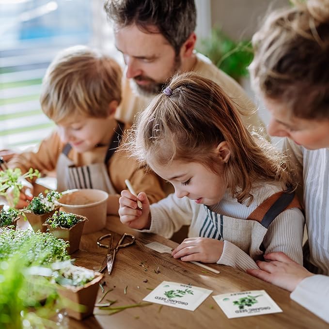 5 Certified Organic Herb Seeds Variety Pack (4X More) 2,800+ Non GMO Seeds for Planting Indoor Herb Garden or Outdoor Herb Garden Seeds for Planting | Including Basil, Cilantro & More