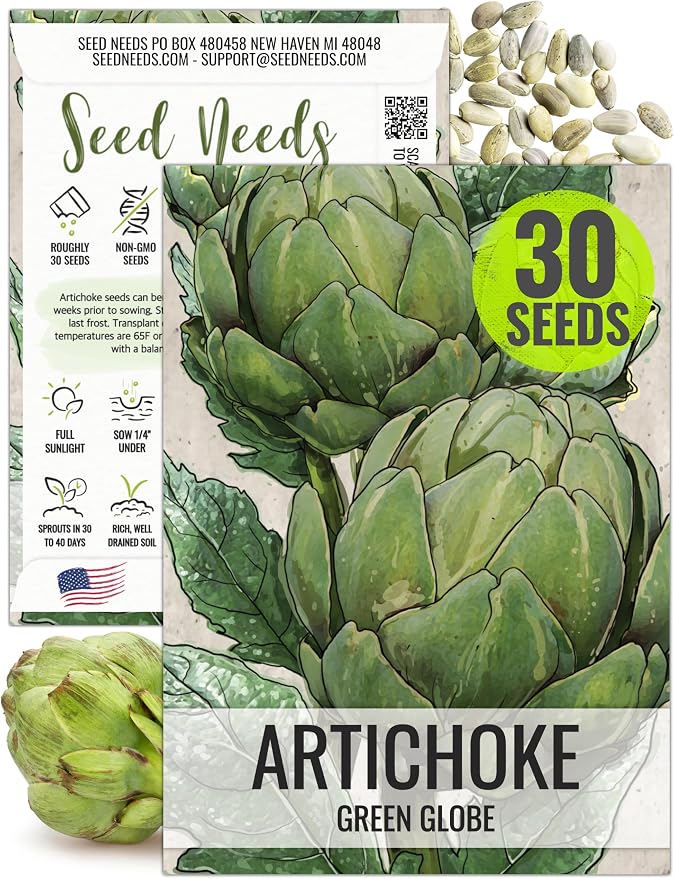Seed Needs Green Globe Artichoke Seeds to Plant Heirloom & Non-GMO 1 Pack