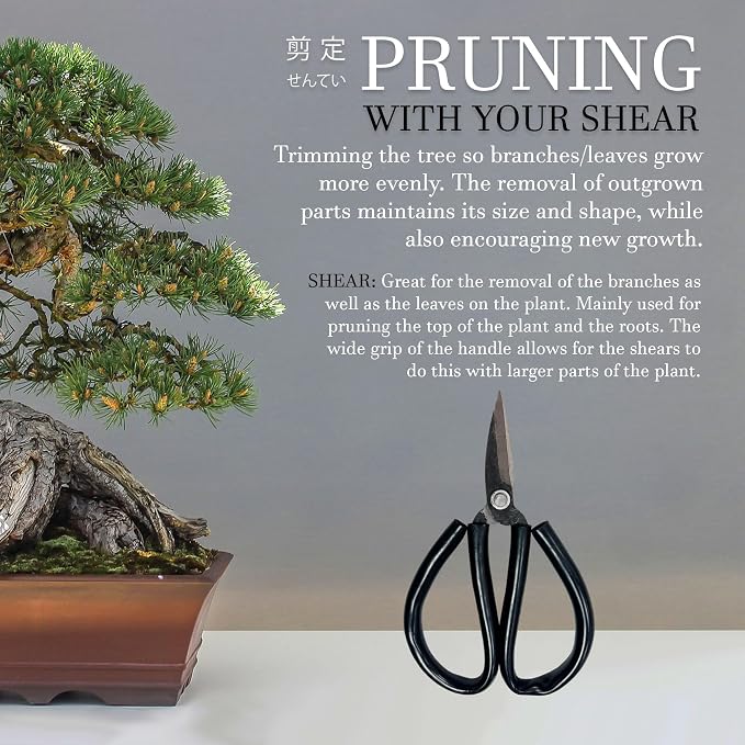 Bonsai Forged Sharp Wire Cutting Scissor with Rubber Handle - 1 Unit