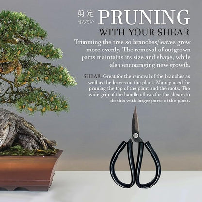 Bonsai Forged Sharp Wire Cutting Scissor with Rubber Handle - 1 Unit