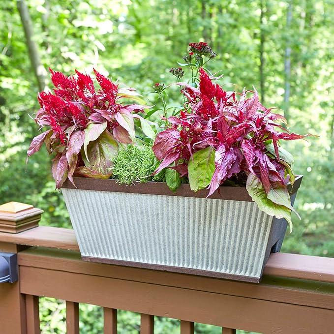 Southern Patio 24 Inch Westlake Outdoor Rectangular Deck Rail Textured Resin Garden Flower Herb Planter w/Sun Protectors, Rustic Galvanized