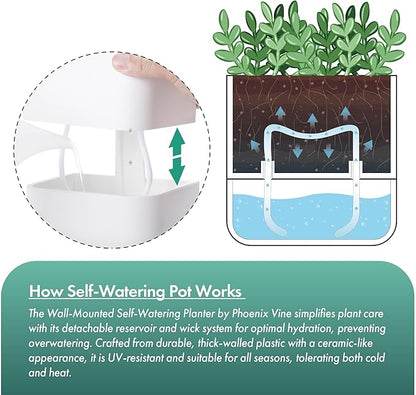 Phoenix Vine 6.5 Inch Wall Mounted Self-Watering Planter Pot for Indoor Houseplants and Herbs | Hanging Planter for Window Sills, Bathroom Walls, Home & Office Décor, White, Set of 3, 01-C-D-3