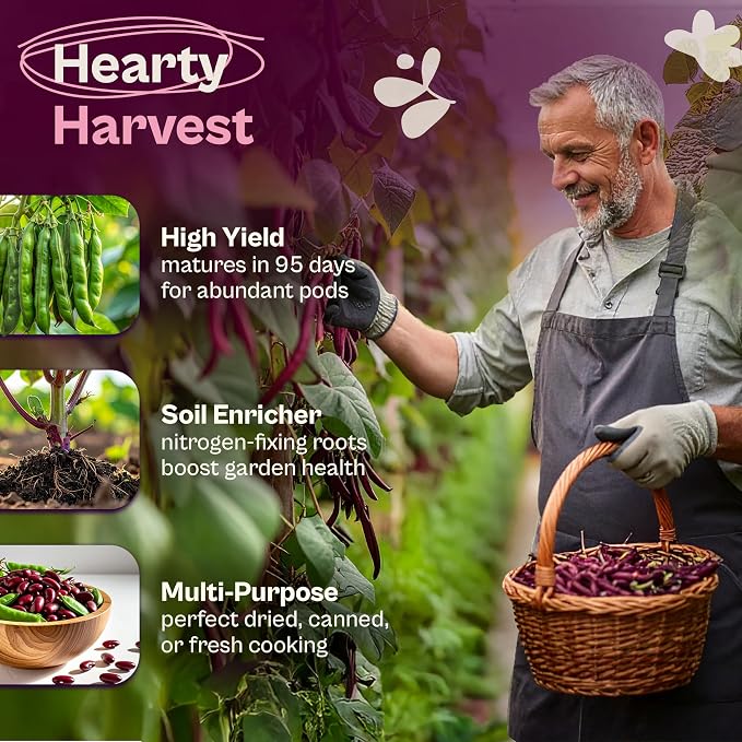 SVI 50 Dark Red Kidney Beans Seeds (Phaseolus vulgaris L.) – Rajma, Surkh Lobia, Heat-Tolerant, Protein-Rich – Heirloom Vegetable Seeds for Outdoor Garden & Raised Beds