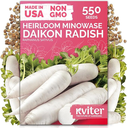 KVITER 550 Daikon Minowase Radish Seeds (Raphanus Sativus) - Japanese White Daikon, Mild Flavor, Easy Growing, Non-GMO Seed Packets - Heirloom Vegetable Seeds for Home Garden, Outdoor Beds
