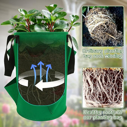 Augshy 3 Pack Upside Down Strawberry Planter Bags, 3 Gallon Hanging Grow Bags 6 Pockets with 3 Hooks Tomato Planter Topsy Turvy Planter for Strawberry Tomato Herb Vegetables House Garden