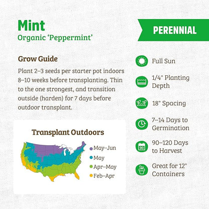 Back to the Roots 100% Organic Seed Packets - Peppermint (Pack of 2)