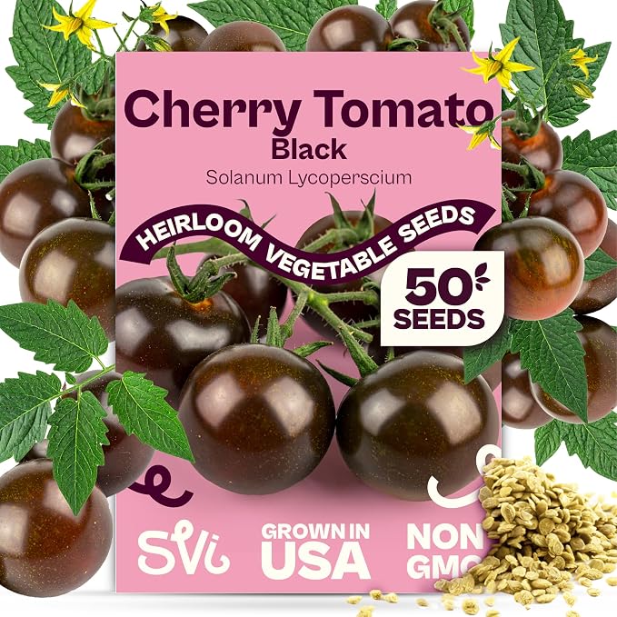 SVI 50 Black Cherry Tomato Seeds (Solanum Lycoperscium) - Black Cherry Tomatoes Seed Packets, Sweet Heirloom Tomato on Vine - Non GMO Vegetable Seeds for Outdoor & Indoor Garden, Containers