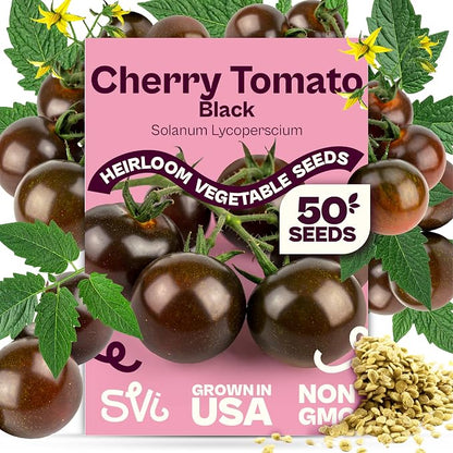 SVI 50 Black Cherry Tomato Seeds (Solanum Lycoperscium) - Black Cherry Tomatoes Seed Packets, Sweet Heirloom Tomato on Vine - Non GMO Vegetable Seeds for Outdoor & Indoor Garden, Containers