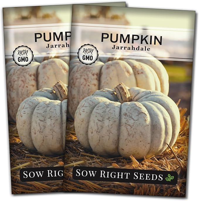 Sow Right Seeds - Jarrahdale Pumpkin Seeds for Planting - Non-GMO Heirloom Packet with Instructions to Plant & Grow an Outdoor Home Vegetable Garden - Unique Grey Blue Variety - Fall Decor (2)