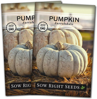 Sow Right Seeds - Jarrahdale Pumpkin Seeds for Planting - Non-GMO Heirloom Packet with Instructions to Plant & Grow an Outdoor Home Vegetable Garden - Unique Grey Blue Variety - Fall Decor (2)