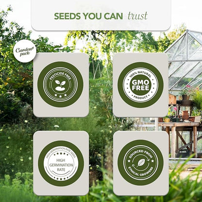 Garden Pack Vegetable Seeds Pouch - 50 Varieties of Vegetable, Herb & Flower Seeds for Planting - 25,000 Non GMO Heirloom Seeds - Gardening Gifts for Men and Women