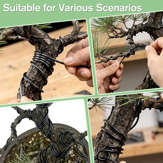 Bonsai Wire Kit, 32 Feet Total Aluminum Plant Wire for Bonsai Training, Essential Bonsai Tools