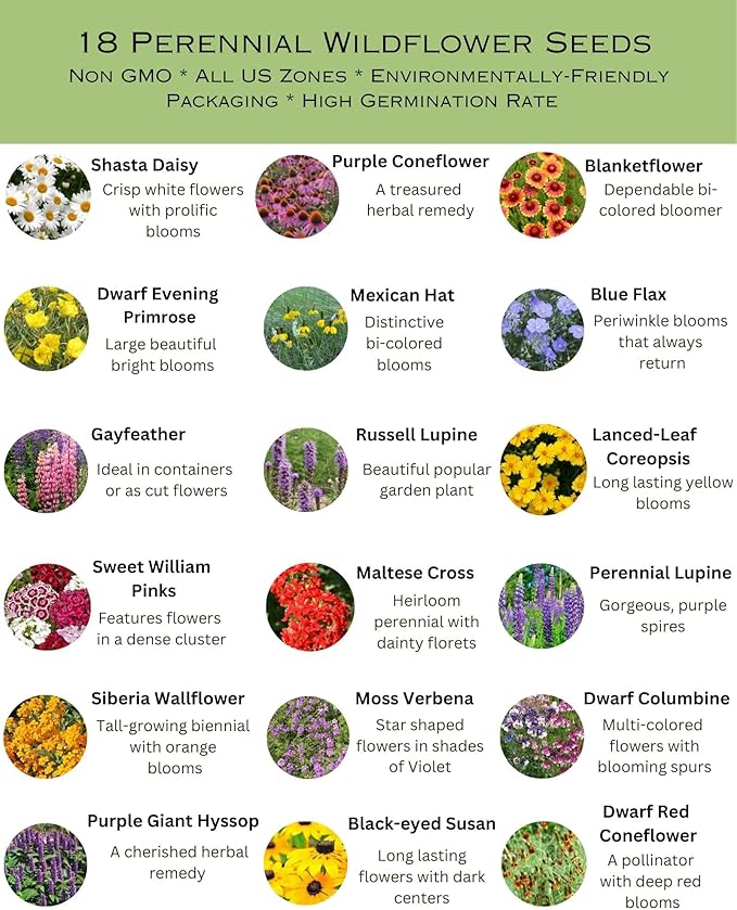 All Zones All Perennial Wildflower Heirloom Seed Mix | 1/4 lb Bulk Variety in Earth-Friendly Biodegradable Packaging - 500 SF Coverage (93,750 Seeds)