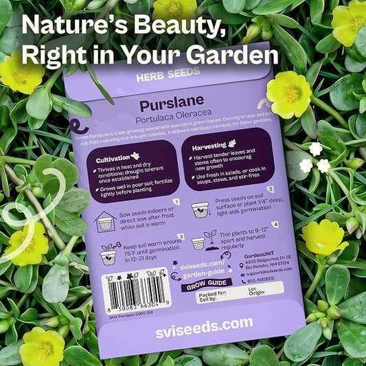 SVI 2500 Purslane Seeds (Portulaca oleracea) – Common Purslane, Verdolaga Seed Packets Bulk, Pigweed, Succulent Grow – Heat & Drought Tolerant Heirloom Herb Seeds, Indoor Herb Garden & Outdoor Garden