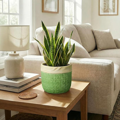 8 Inch Plant Pot - Ceramic Pots for Plants with Drainage Hole, Ceramic Flower Pots for Indoor Plants Outdoor, Decorative Boho Planter, House Garden Decor, Gardening Gifts for Women, Green